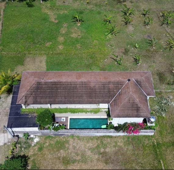 Three Palms Surf & Stay Medewi Airsatang Extérieur photo